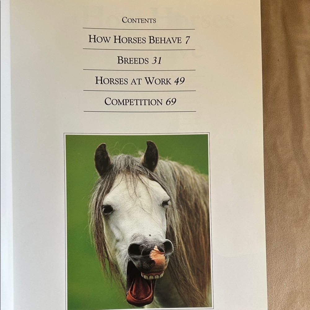 The Noble Horse Book by Angela Rixon - Picture 3 of 3